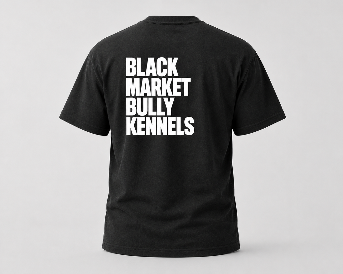BMBK Heavyweight Tee - Men's