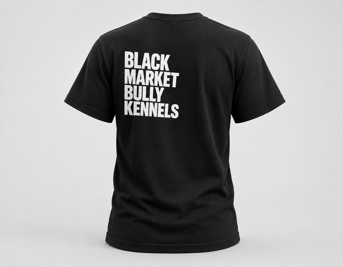 BMBK Heavyweight Tee - Women's
