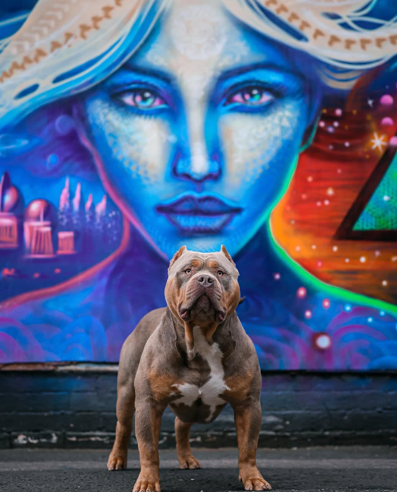 slider image 1621243260e1af0c20-2